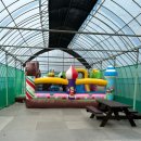 새터 | 대부도 딸기체험 비교 끝에 선택한 새터소망농원 리얼 후기