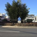 진주 오죽광장(梧竹廣場)에 담긴 염원 이미지