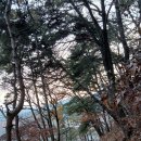 어제는 늦가을 정취를 연대 원주캠퍼스에서~. 완전 늦잠으로 오늘 산과야는 점심으로~~ 이미지