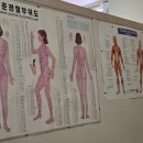 금구리 | [W.13] 예비신부 등 관리는 옥천 '몸짱 얼짱' 리프팅까지 서비스 받은 찐 후기