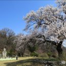 아산 고용산(高聳山) 296m 이미지