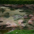 햄릿과 올리브 이미지