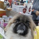 명랑약국 이미지