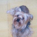 만수2동-21 이미지