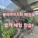 용이 아이스타 태권도&점핑클럽 이미지