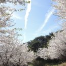 하나펜션 이미지