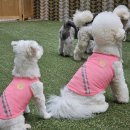 멍동댕유치원 이미지