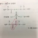 아미노산 질문이요! 이미지