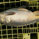 신원낚시터 이미지