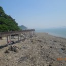 구봉산 가는길 이미지