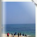 경포펜션민박 이미지