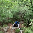 연산사거리 렉스톤A 방면 | 산림청 선정 100대명산(96회차) 밀양 재약산 1189M