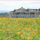 분황사 - 1658 | 분황사