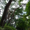 굴산사지입구 | 강릉 경포대, 굴산사지 당간지주 - 2025 설악 여름 걷기 여행 (5)