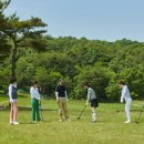 파크골프 이미지