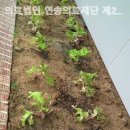 의료법인 연송의료재단 제2신창 요양병원 이미지