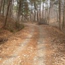 종암1리(벌말) 이미지