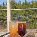 보사노바 | 속초 오션뷰 카페 보사노바 커피로스터스 후기, 베이커리까지 괜찮았던 곳