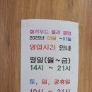 헐리우드롤러클럽 네이버블로그