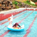 다옴농촌체험휴양마을 이미지