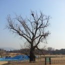 위례성대로 이미지