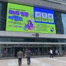 2020 수원 카페 &amp; 베이커리 페어 방문 후기