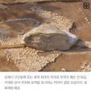 김해 세계최대 고인돌 훼손ᆢ? 이미지