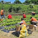 따사모 봉사단 이미지