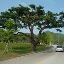 수곡1리 이미지