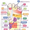 커브스상봉클럽 이미지