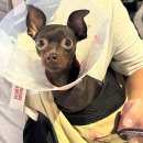 24시 공감365동물의료센터 이미지