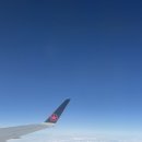 박희주 | 박희주의 뉴욕뉴욕