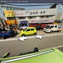 정다운종합동물병원 네이버블로그