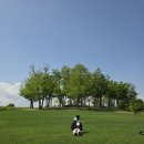 640 | 당일치기 여행 순천편_순천만국가정원