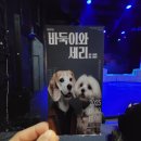 10/29 세미뮤지컬＜바둑이와 세리＞ 이미지