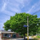 도곡1리마을회관 이미지