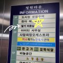 츄네일(CHU NAIL) | [옥련동네일] 츄네일에서 젤네일 받고왔어요. 찐후기