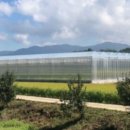 단북애청년 이미지