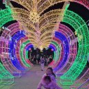 광안어패류시장 이미지