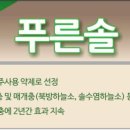 푸른농약사 이미지