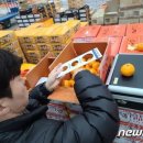 칠성영농조합법인 이미지