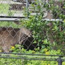 대요농장 이미지