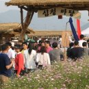 곡성심청축제장 이미지