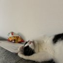 민물촌 부원점 | 하룰라라