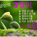 맴맴 - 광산구 임방울대로826번길 19-20 | 맴맴