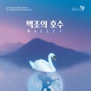 서울시티발레단 백조의 호수 이미지