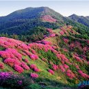 허브밸리(원형광장) 이미지