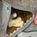세모지붕 이미지