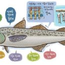 부잣집식당 - 청도군 | 부잣집식당