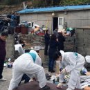 월호동주민센터 이미지